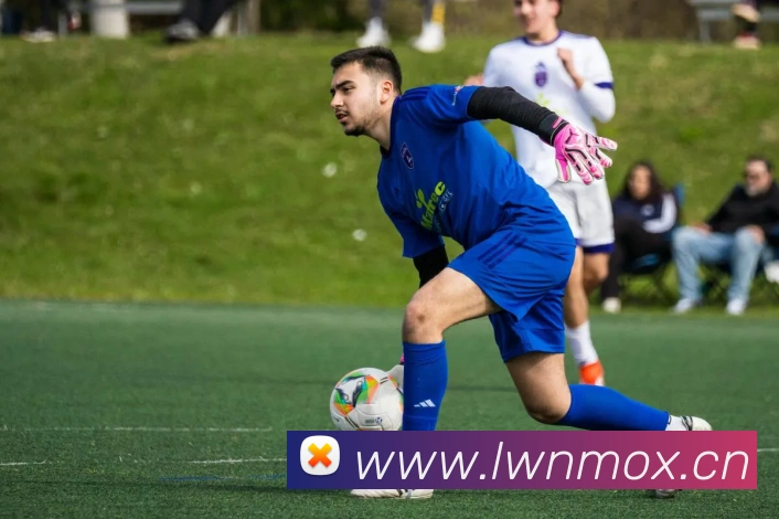 App Interface Preview