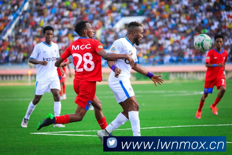 熊猫官网入口APP 封面图